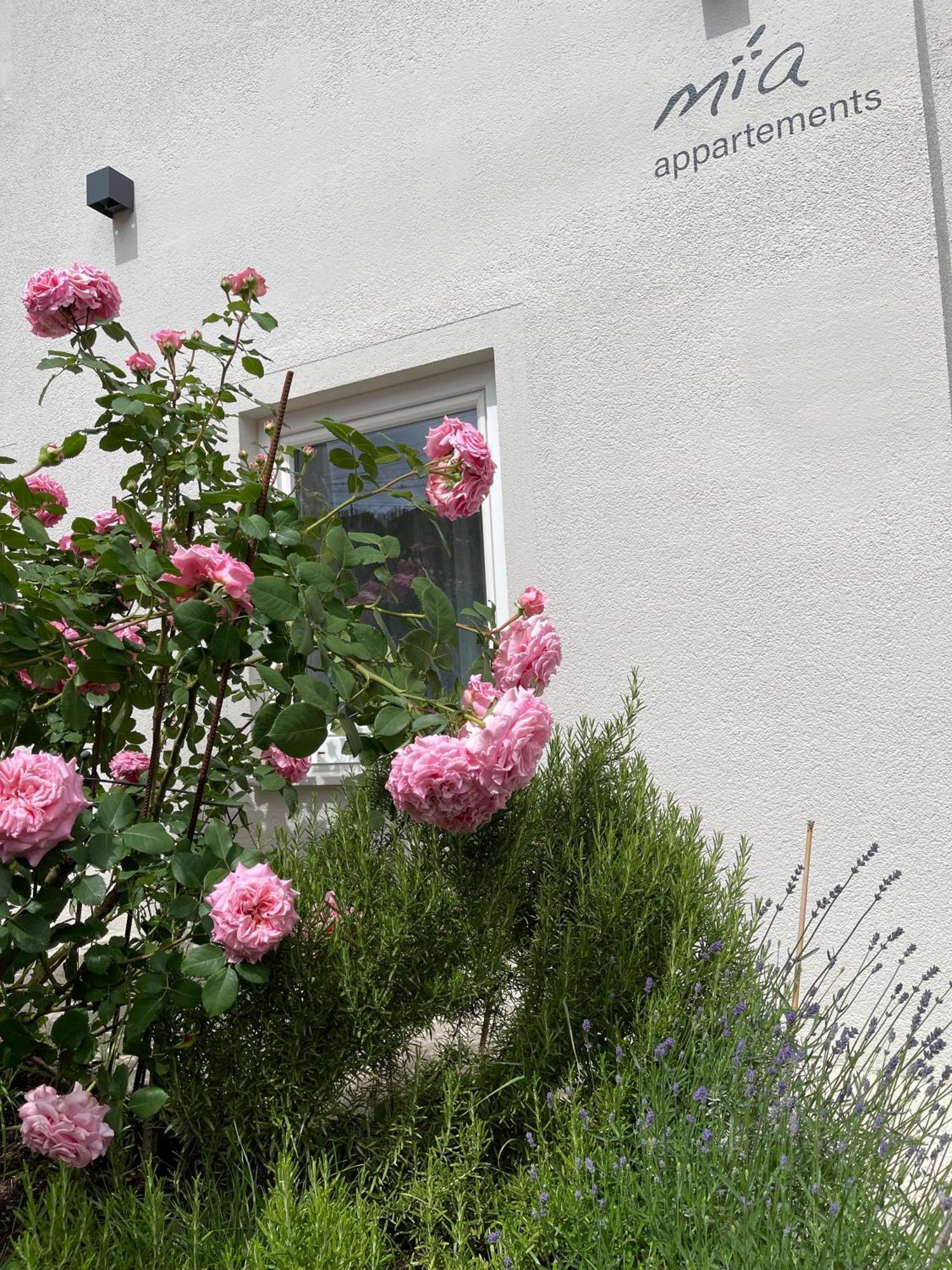 Mia Appartements Innsbruck Zewnętrze zdjęcie